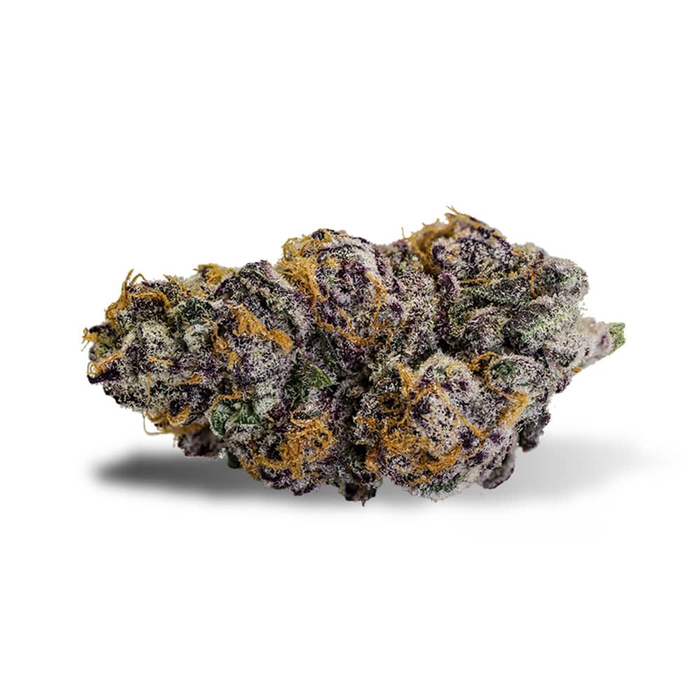 Buy Fresh Purple Punch Strain 1 Purple Punch