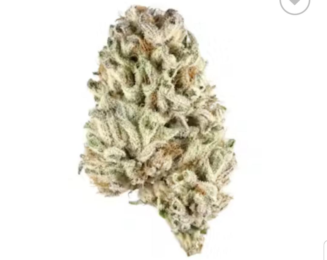 buy Biscotti indica strain 1 Buy Biscotti Indica Strain