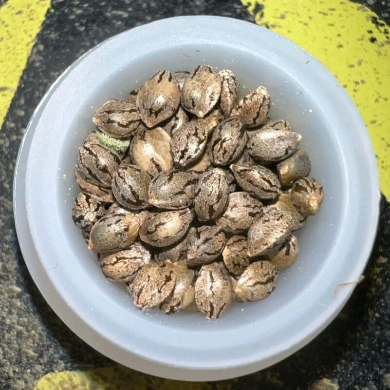 Fb Img 17364672717762972 1