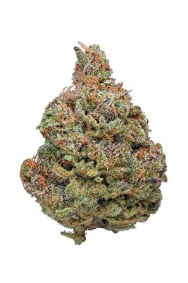 Where To Buy Afghan Kush Feminized Seeds Online Now