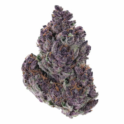 Buy Durban Poison Strain Online